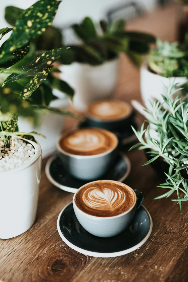 Aperçu café
